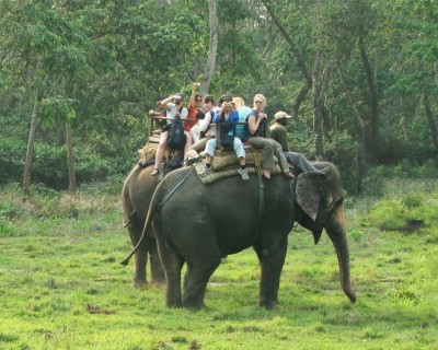 Chitwan Wildlife Tour