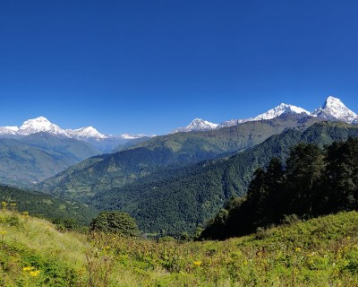 Trekking in Nepal for Beginners